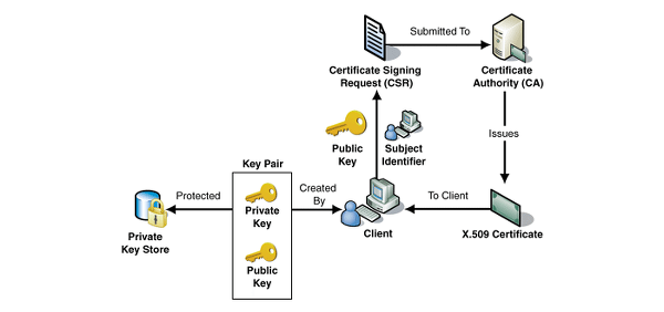 SSL Process